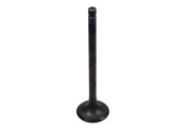 Intake Valve Made in Japan Fits Honda 0169-024